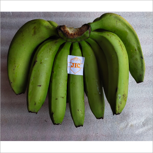 Raw Banana - 8-9.5 Inch, 35-39 Mm Thickness | Organic, Green, Whole, High Fiber, Low Glycemic Index 30, Sweet Taste