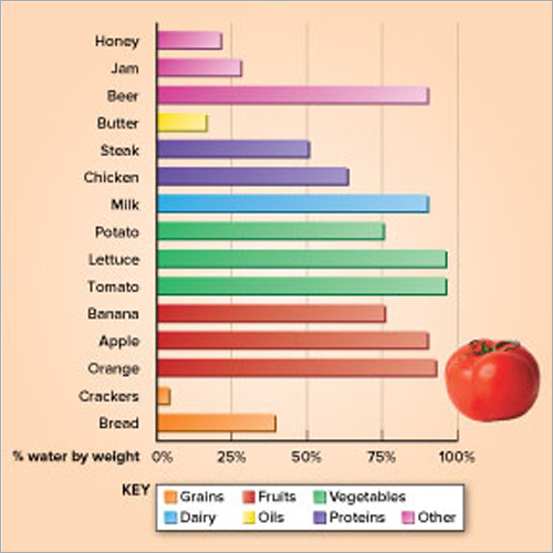 Technical Illustrations - High Resolution Digital/Print Bar Chart , Variable Dimensions, Red Color, Various Software for Data Comparison Visualization