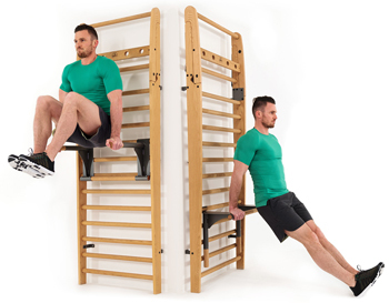 Wall Bars Single Section Wall Mounting - Hardwood, 90cm X 244cm, Natural Wood Polish Finish , Features Adjustable Chinning Bar & Knee Support