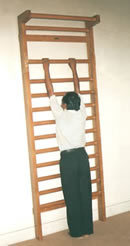 Wall Bars Single Section Wall Mounting Age Group: Adults