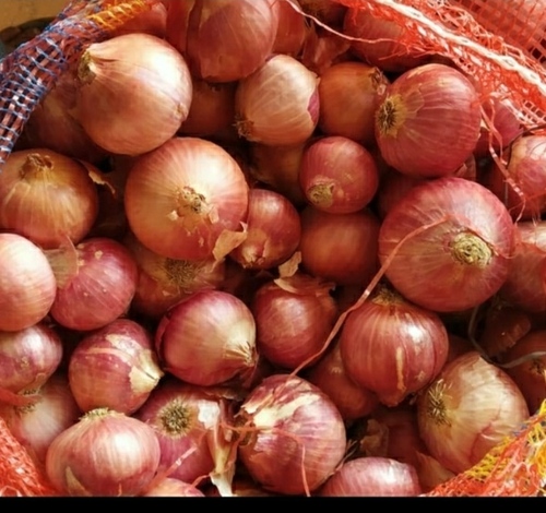 Brown Onion - Medium Size, Red Color | Ideal for Storage in Cool, Dry Place, Net Bag Packaging