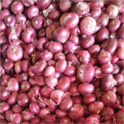 Natural Red Onion
