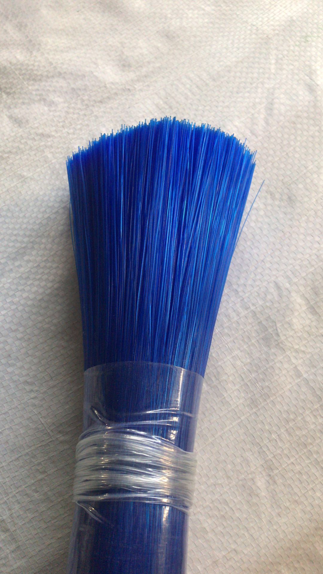 Brush Bristle