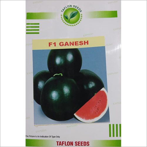 F1 Ganesh Watermelon Seed