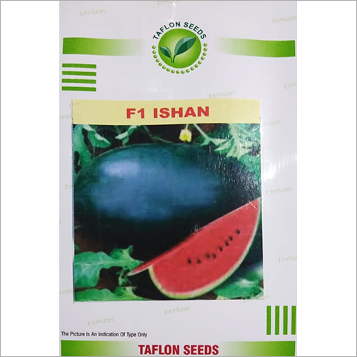 F1 Ishan Watermelon Seed Weight: 250 Grams (G)