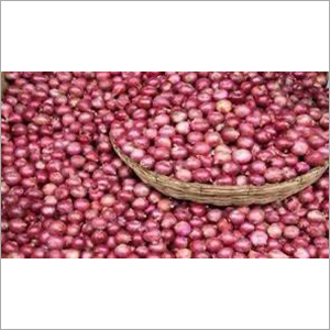 Fresh Onion