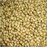 Organic Coriander Seeds - Premium Quality, Rich In Vitamins C & K, Antioxidant Benefits, Enhances Digestion, Available In Various Packaging Choices, Shelf Life Up To 6 Months, Store In A Dry Place