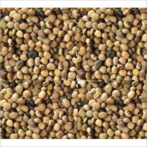 Organic Guar Seed - Organic Moisture: 10% Shelf Life: 3 Years | Nutrient-rich Seed For Enhancing Culinary Dishes And Health Benefits