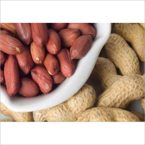 Organic Groundnut - Organic, Food Grade | Fresh, 6 Months Shelf Life, Enhances Taste In Namkeen & Salads, Powerful Anti-oxidant