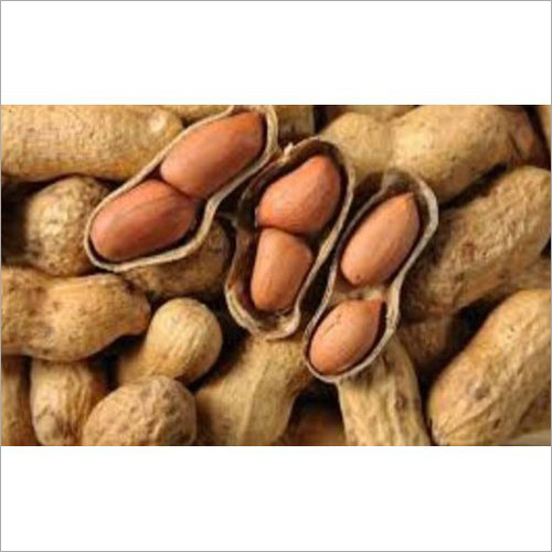 Organic Groundnut - Organic, Food Grade | Fresh, 6 Months Shelf Life, Enhances Taste In Namkeen & Salads, Powerful Anti-oxidant