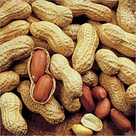 Organic Groundnut - Organic, Food Grade | Fresh, 6 Months Shelf Life, Enhances Taste In Namkeen & Salads, Powerful Anti-oxidant
