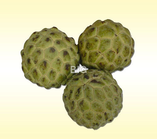 Custard-apple