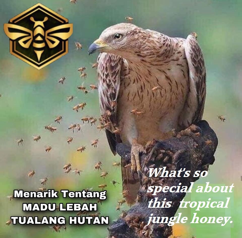 Honey Aura Brix (%): 3