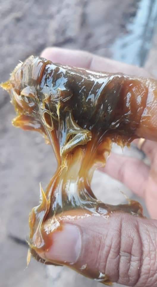 Chassis Grease