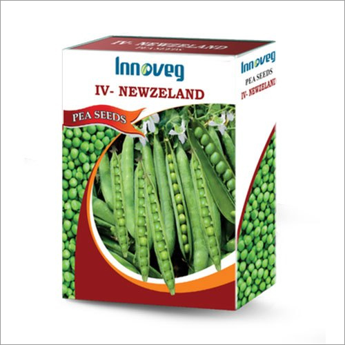 NZ-11 Pea Seeds