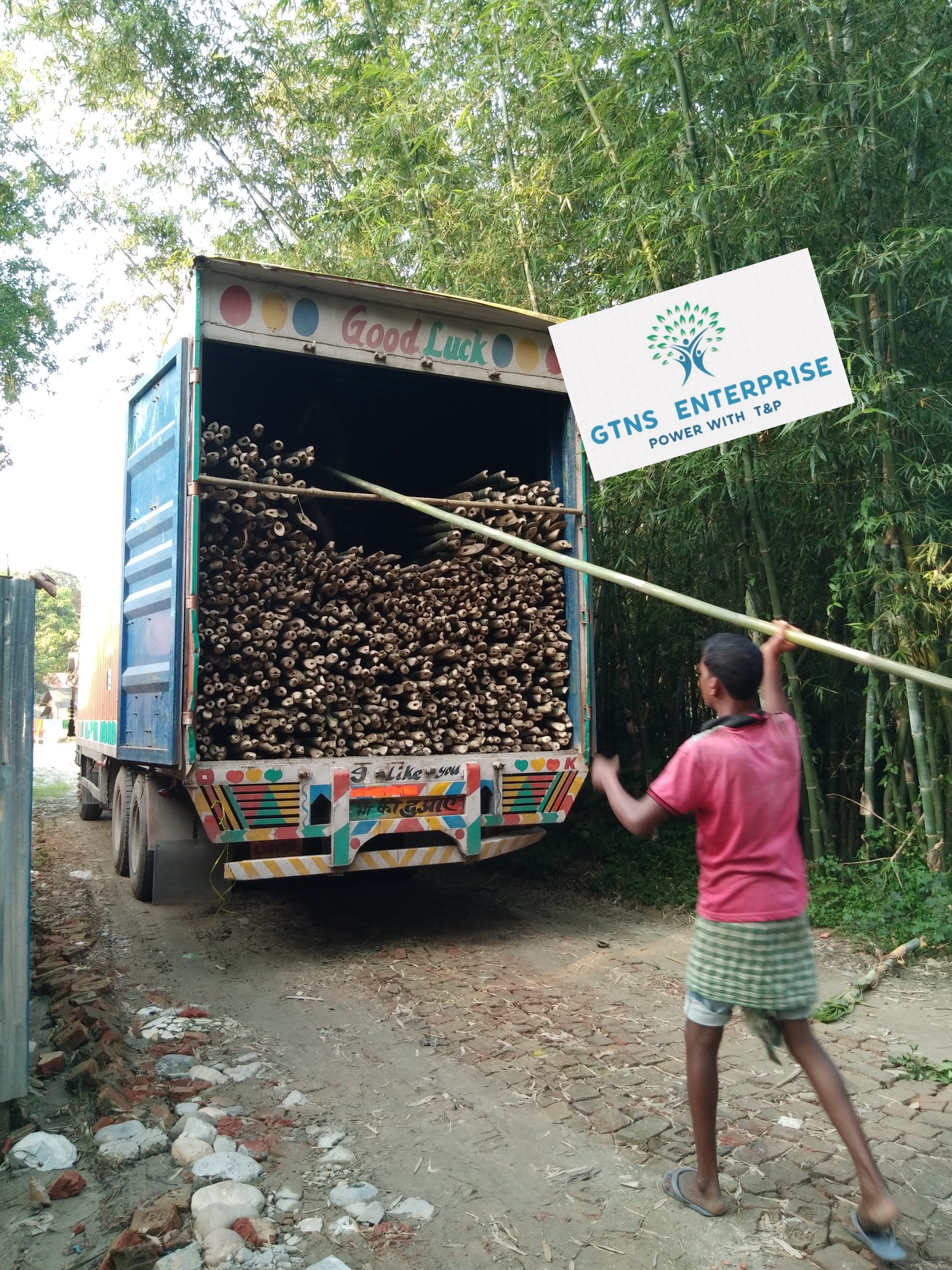 Natural 16 Feet Bamboo