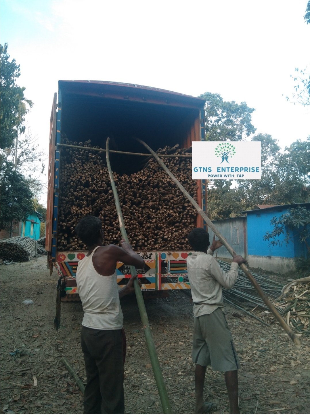 Natural 16 Feet Bamboo