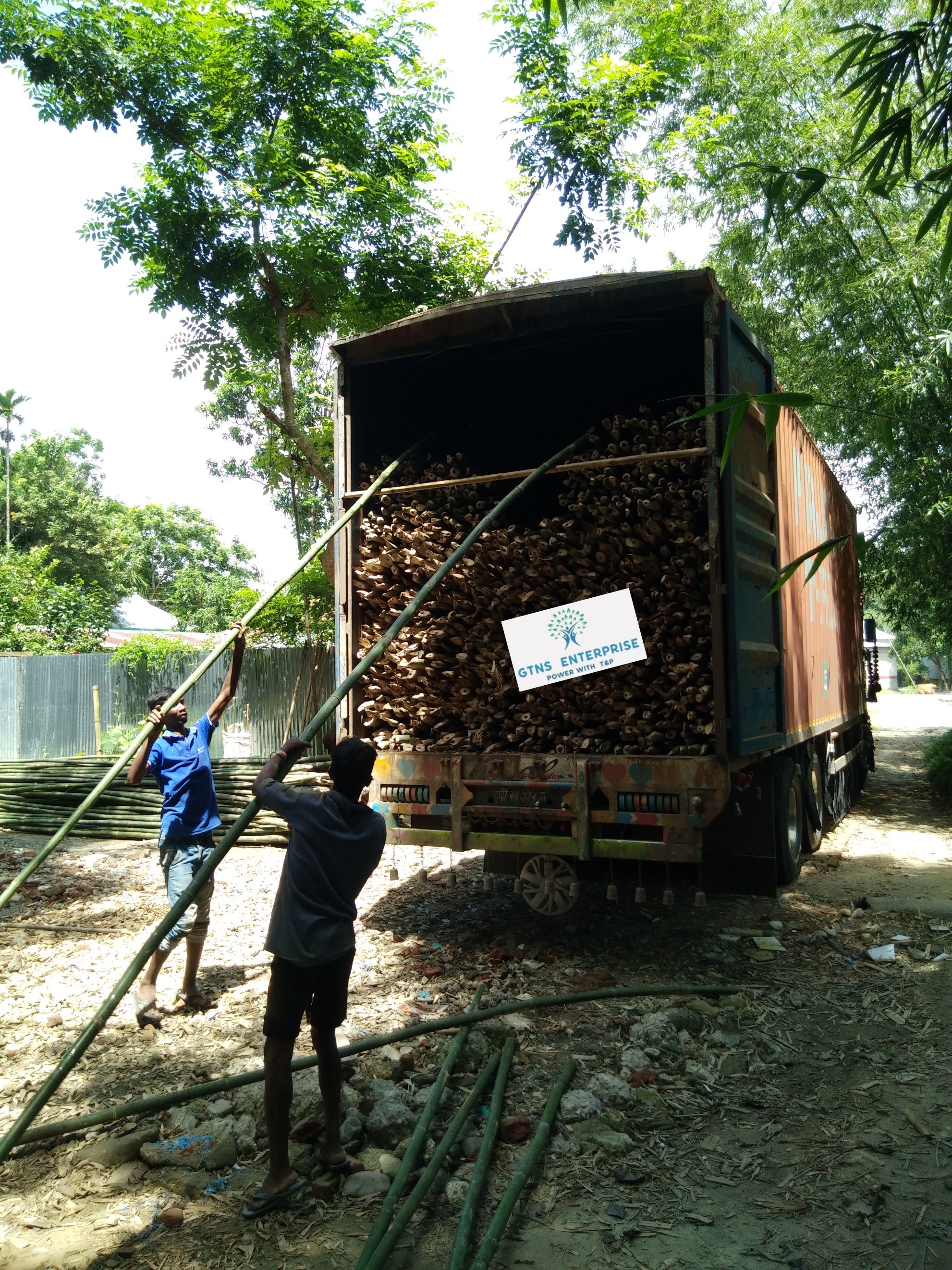 Natural 16 Feet Bamboo