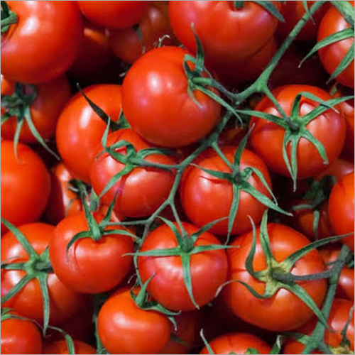 ताज़ा टमाटर