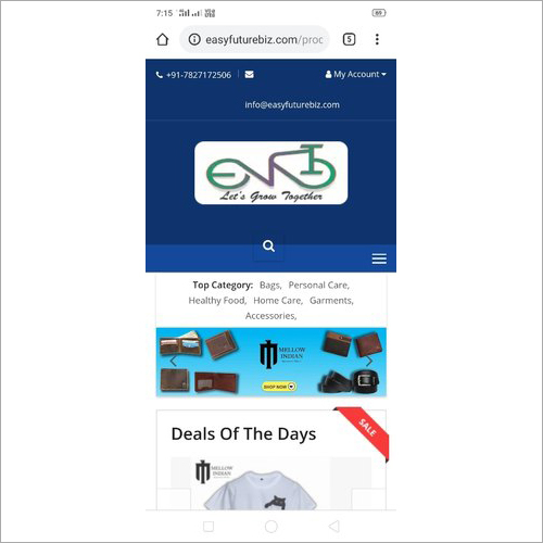 E-commerce Application Development Software Services