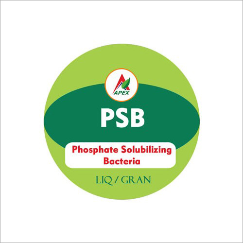 Phosphate Solubilizing Bacteria Fertilizer