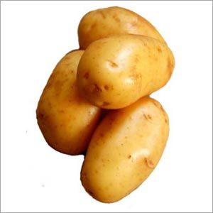 ताजा आलू