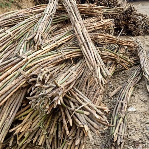 Ratan Cane - Bamboo Material, Diameter 1-10 Inches, Length 10 Feet, Natural Color | Termite & Borer Resistant, High Strength, Durable