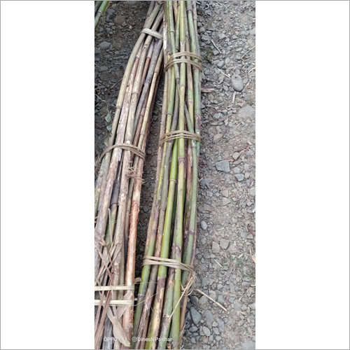 Ratan Cane - Bamboo Material, Diameter 1-10 Inches, Length 10 Feet, Natural Color | Termite & Borer Resistant, High Strength, Durable