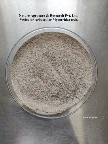 Mycorrhiza Technical - Organic Powder Fertilizer, 100% Soluble White Formula | Enhances Nutrient Uptake, Improves Plant Health, Stress Resistance