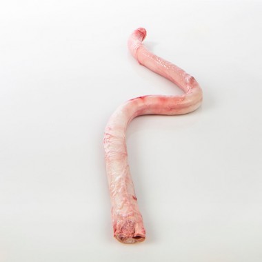 Dog Food - Crop Year: This Year