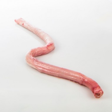 Dog Food - Crop Year: This Year