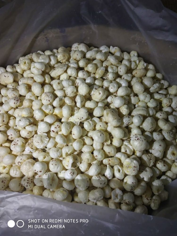 Fox Nut (Makhana) - 8 Kilograms, Rounded Texture | Well Quality, Semi-automated Processing, Shelf Life 18 Months