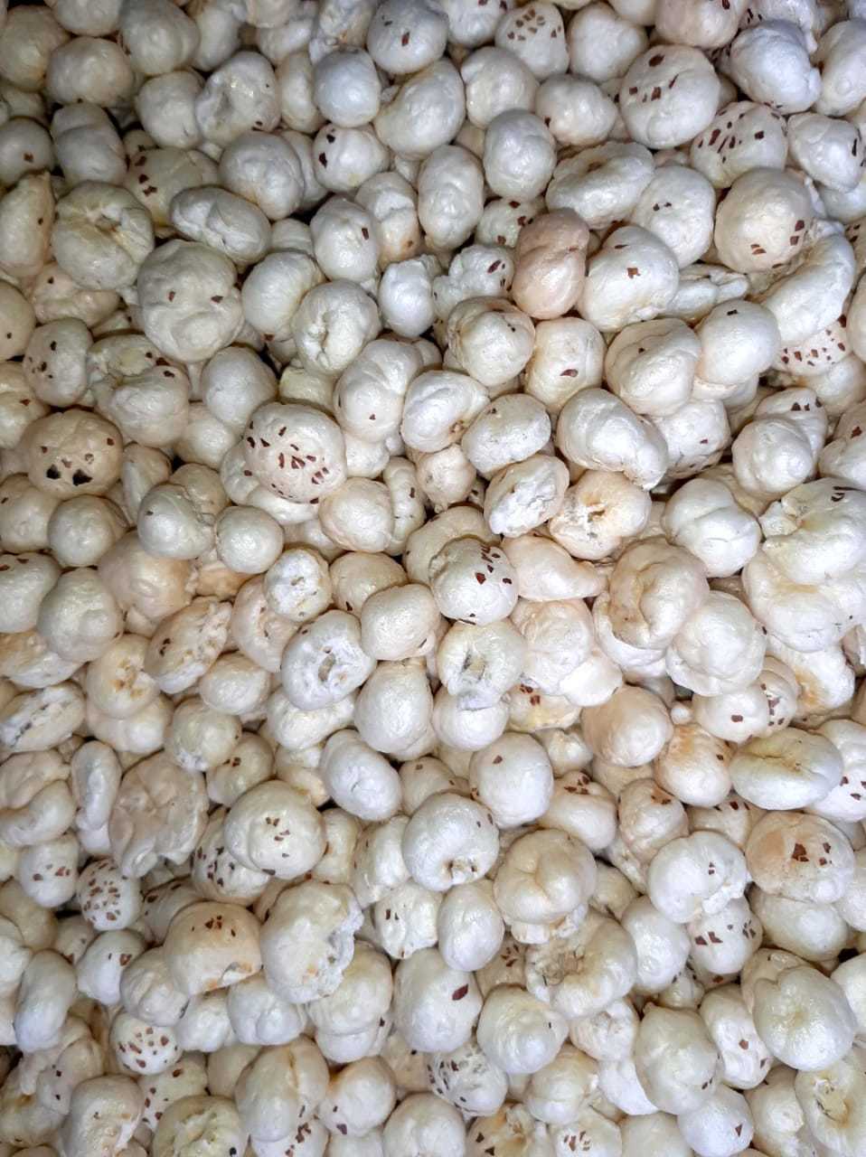 Fox Nut (Makhana) - 8 Kilograms, Rounded Texture | Well Quality, Semi-automated Processing, Shelf Life 18 Months