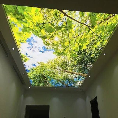 Shanghai Foxygen Pvc Stretch Ceiling Texture Film Led Light Diy Night Sky Design