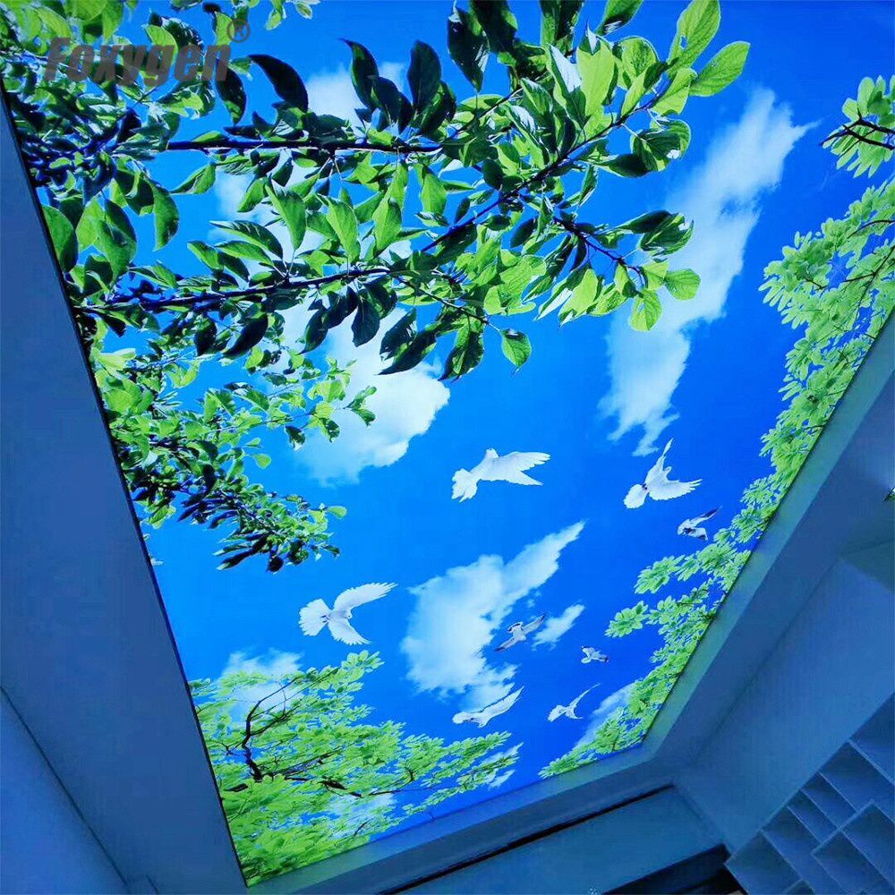 Powder Blue Ceiling Pattern Texture Top False Ceiling Dealers In