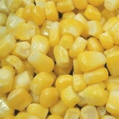IQF मीठे मक्का