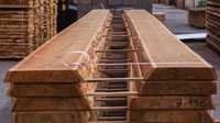 Steam Beech Wood - High-quality Hardwood, Versatile For Furniture And Crafting