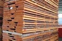 Steam Beech Wood - High-quality Hardwood, Versatile For Furniture And Crafting