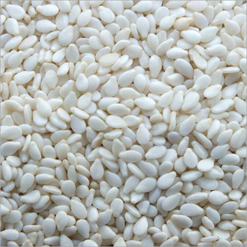 Sesame Seed - Small Oval White | High Oil Content, Nutty Flavor, Rich in Dietary Protein