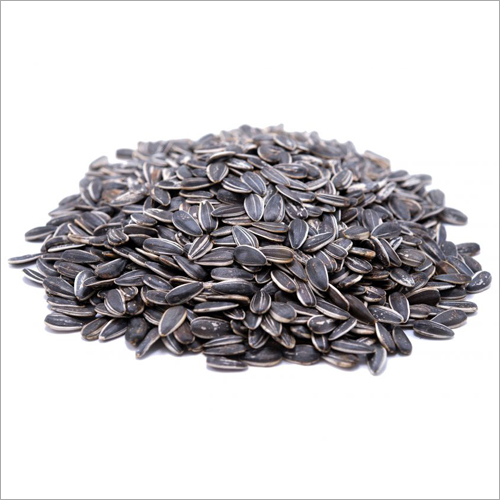 Sunflower Seed - Small Oval | Airtight Packaging, Rich in Phosphorus, Magnesium, Protein & Vitamin E