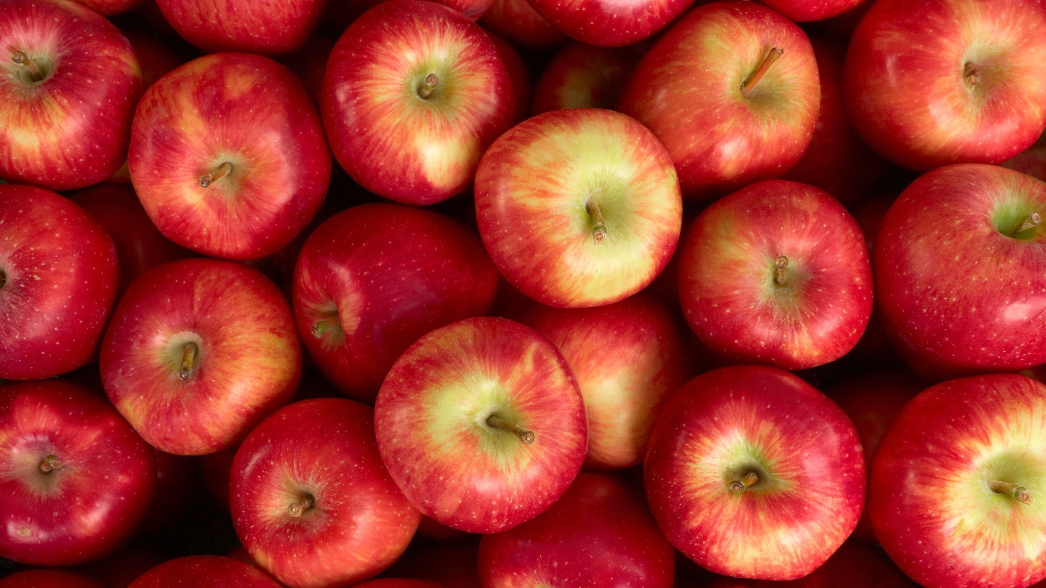 Ss304 कैप और मैक्स कोल्ड स्टोरेज