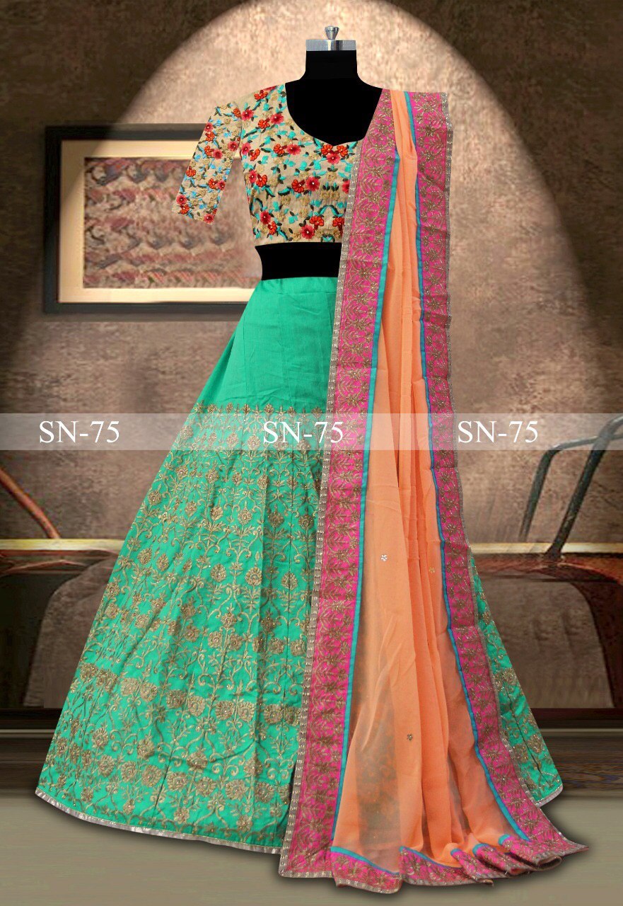 Multi Heavy Silk Choli