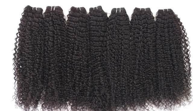 Natural Afro Kinky Curly Human Hair