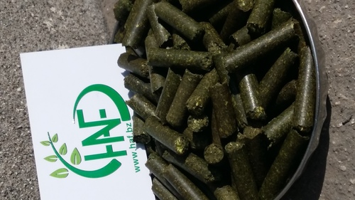 Animal Feed