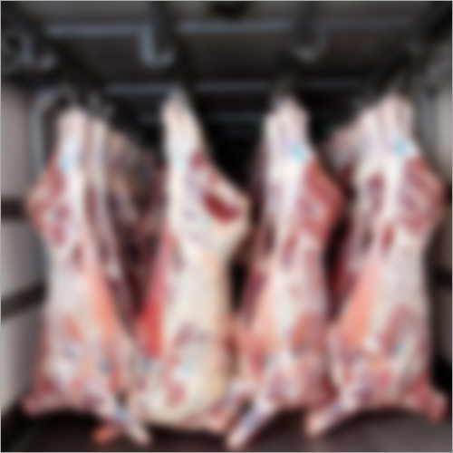 Frozen Halal Fresh Lamb