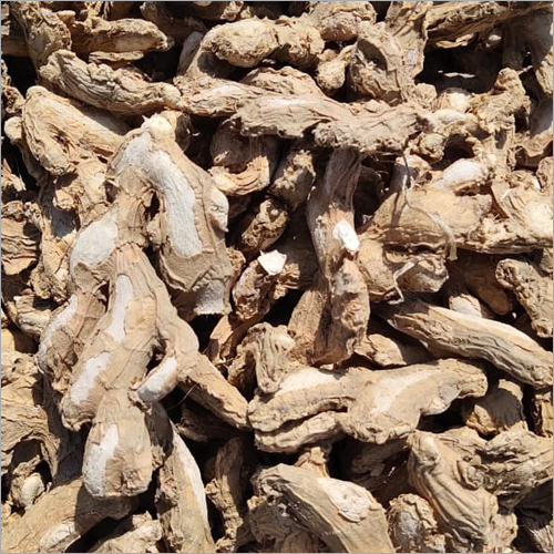 Pure Sonth - Color: Brown