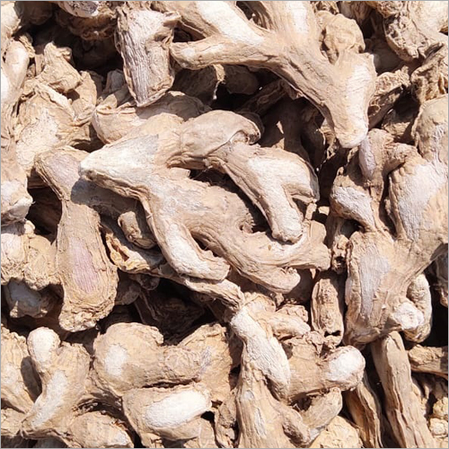 Pure Sonth - Color: Brown