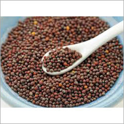 Organic Brown Mustard Seeds