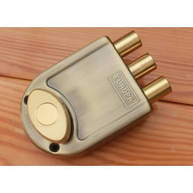 Golden Type Antique Finish 8113 Ab