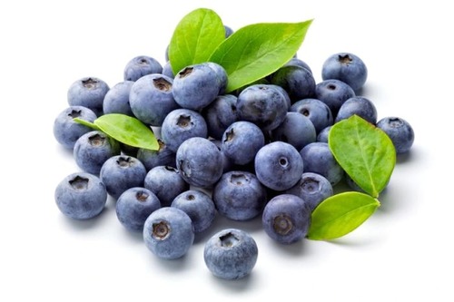 Blue Berry Liquid Extract - Vaccinium Corymbosum Grade: Cosmetic